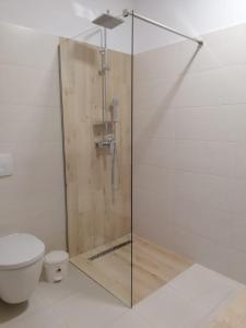 a shower stall in a bathroom with a toilet at Pensiunea Căsuța din Deal in Moisei +15 photos