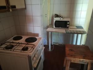 Kuchyňa alebo kuchynka v ubytovaní Saltlake apartman