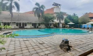Piscina di RedDoorz Plus At Hotel Sofia Pangandaran o nelle vicinanze