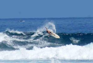 une personne à bord d'une vague sur une planche de surf dans l'océan dans l'établissement LEU FLAMBOYANT Appartement 2 pièces, à Saint-Leu
