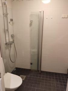 La salle de bains est pourvue d'une douche et de toilettes. dans l'établissement Adorable Central Apartment Helsinki, à Helsinki