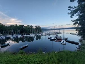 a bunch of boats are docked in a harbor at Agroturystyka Bierna. Gospodarstwo rolne. in Bierna