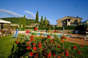 ogród z czerwonymi kwiatami i basenem w obiekcie AGRITURISMO LUCERTOLA w mieście Montecatini Val di Cecina