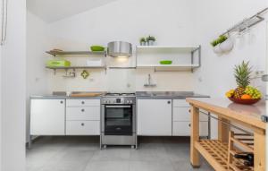 Kuchyňa alebo kuchynka v ubytovaní Beautiful Home In Stinjan With Kitchen