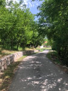 Príroda v okolí apartmánu