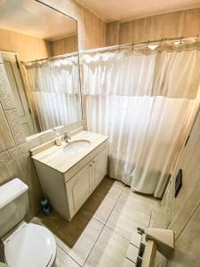 a bathroom with a sink and a toilet and a mirror at Casa en Condominio Foresta central y a 200 mt playa in Pucón