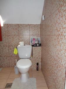 łazienka z toaletą w wyłożonej kafelkami ścianie w obiekcie Saltlake apartman w Siófoku +19 zdjęć