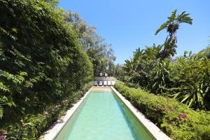 a swimming pool in the middle of a garden at Mimi Calpe in Tangier