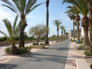 a street lined with palm trees in a resort at AGH Canet in Canet de Berenguer