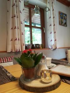 Fotografie z fotogalerie ubytování Haus Bergliebe ve Filzmoosu