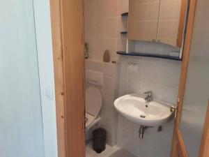 a small bathroom with a toilet and a sink at Apartment-Ferienwohnung 3 Treffen am Ossiachersee in Treffen