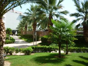 a palm tree in a yard with a sidewalk at AGH Canet in Canet de Berenguer