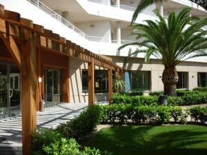 a building with a palm tree in front of it at AGH Canet in Canet de Berenguer