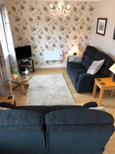 uma sala de estar com um sofá azul e uma televisão em Mill Pond View em Pembroke