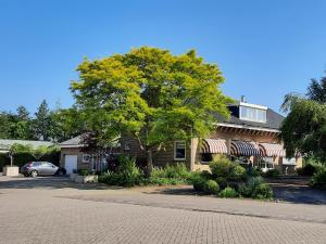 a house with a tree in front of a building at Carmen's Stay In - Dichtbij Amsterdam- Jaagweg 13 - Ilpendam in Ilpendam