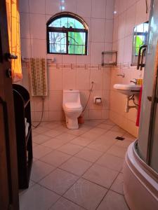 ein Bad mit einem WC und einem Waschbecken in der Unterkunft Villa Jane in Arusha