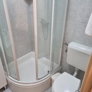 a small bathroom with a shower and a toilet at Villa Mila in Bol