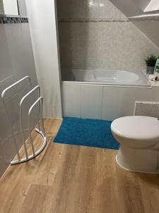 een badkamer met een bad, een toilet en een blauw tapijt bij appartement romantique tout confort 4 personnes in Boulogne-sur-Mer