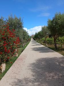 Noto'daki Il Poggetto Marzamemi - Lemon House tesisine ait fotoğraf galerisinden bir görsel