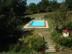 a swimming pool in the middle of a garden at I Poggetti in Castel Giorgio