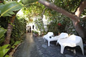 a group of white chairs sitting under a tree at El Manzar in Oualidia