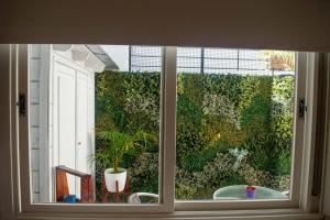 una ventana con vistas a un seto verde en Hermoso y cómodo alojamiento con patio en Nuñez en Buenos Aires
