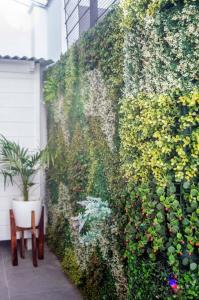 a green wall with a chair and a plant at Hermoso y cómodo alojamiento con patio en Nuñez in Buenos Aires