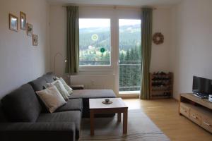 a living room with a couch and a large window at Cozy apartment in Bedřichov - Špindlerův Mlýn in Špindlerův Mlýn