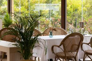 A garden outside Es Portal Restaurant i Hotel Boutique - Adults only