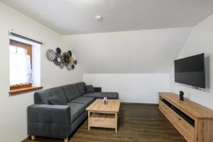 Televízia a/alebo spoločenská miestnosť v ubytovaní Apartmány Závětří
