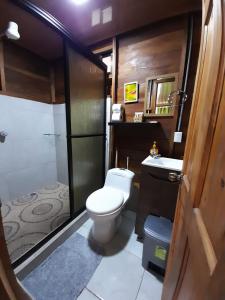 a bathroom with a toilet and a shower and a sink at Cabaña Rural el Mirador in Fortuna