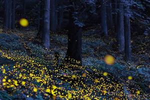 Fotografie z fotogalerie ubytování Gableview Forest Inn ゲーブルビュー v destinaci Nikko