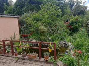een tuin met potplanten en een houten hek bij À la pause bien méritée =) in Villers-la-Ville