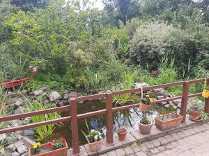 um jardim com vasos de plantas sobre uma cerca de madeira em À la pause bien méritée =) em Villers-la-Ville