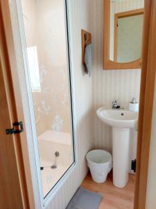 a bathroom with a shower and a sink at Domek holenderski Sosnowa in Wilkasy