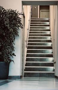 una rampa di scale in un edificio con una pianta in vaso di Rooms Don Alfonso a Parma