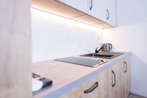 Kuchyň nebo kuchyňský kout v ubytování Apartmány Vinařství Šebesta