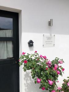 a planter with pink roses in front of a door at Touquet's Garden in Cucq