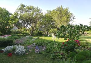 a garden with flowers and trees in a park at Kishalász Vendégház-Lovas in Lovas