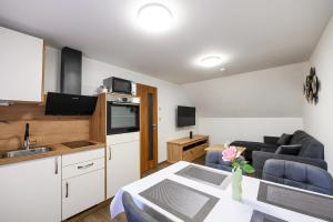 Kuchyňa alebo kuchynka v ubytovaní Apartmány Závětří