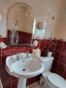 a bathroom with a sink and a toilet and a mirror at Minaun Cliff View in Achill