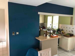 a kitchen with blue walls and a man laying on the floor at "La Homerie" Chaumière en pleine nature in Savigny-en-Sancerre