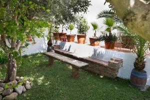 A garden outside espectacular villa con piscina en Conil CL-5C