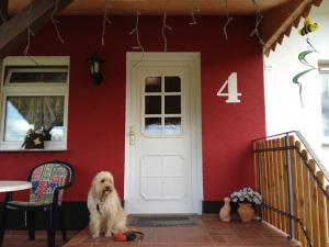 Domácí mazlíčci ubytovaní s hosty v ubytování Ferienwohnung Schmidt Werratal