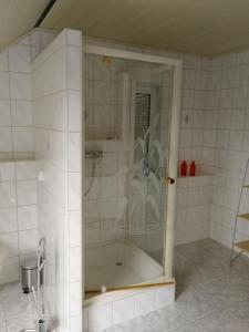 Koupelna v ubytování Ferienwohnung Schmidt Werratal