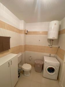 une petite salle de bains avec toilettes et lave-linge. dans l'établissement Jovana -- porodicni apartmani Igalo, à Herceg-Novi