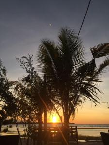 un palmier sur la plage avec le coucher du soleil dans l'établissement Saeri Matahari Bungalow, à Gili Air