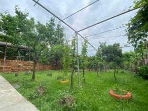 a garden with trees in the middle of a field at Hostel FORREST in Kutaisi