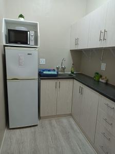 La cuisine est équipée d'un réfrigérateur blanc et d'un four micro-ondes. dans l'établissement Kleine Nessie, à Worcester
