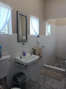 La salle de bains est pourvue d'un lavabo, de toilettes et d'un miroir. dans l'établissement Kleine Nessie, à Worcester